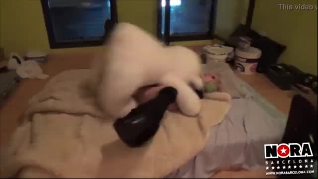 My porn movies ii